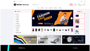 tiktok商城+落地页源码 带搭建教程