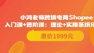 鸿老师跨境电商Shopee入门课+进阶课：理论+实操系统化教学（原价1999）